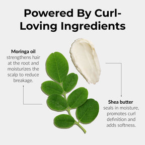 Moringa oil and shea butter with text on a white background
