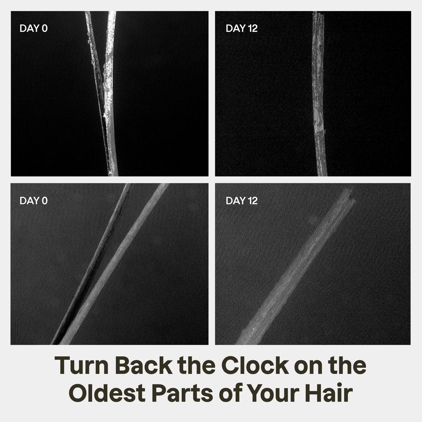 Split End Mender
