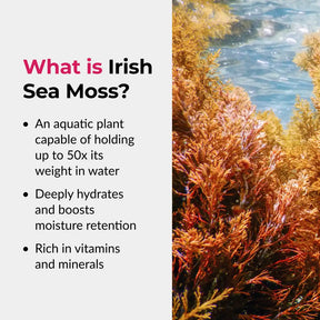 Irish Sea Moss Gel