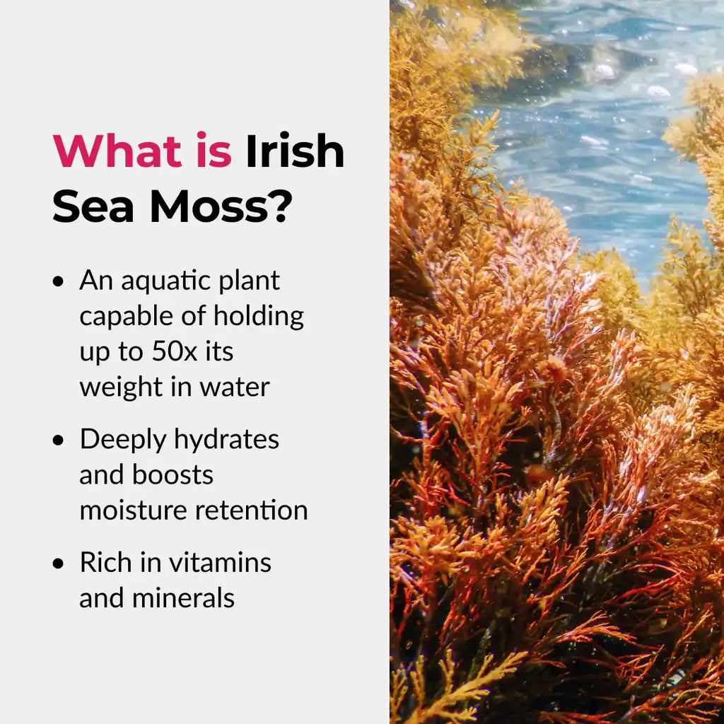 Irish Sea Moss Gel