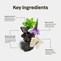Exfoliating Scalp Scrub
