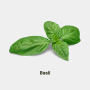 BASIL