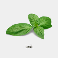 BASIL