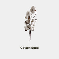 COTTON SEED