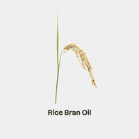 RICE BRAN OIL